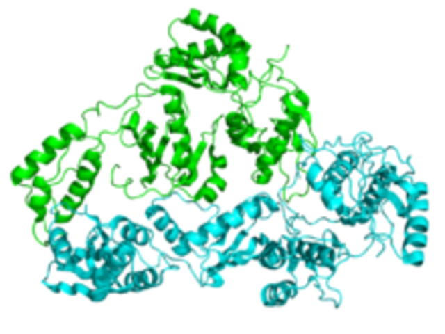 Howard Temin & David Baltimore's Dicovery