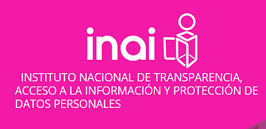 La institucionalización de la transparencia: el INAI y el acceso a la información