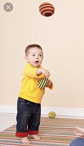 The Toddler: 1 Year to 3 Years