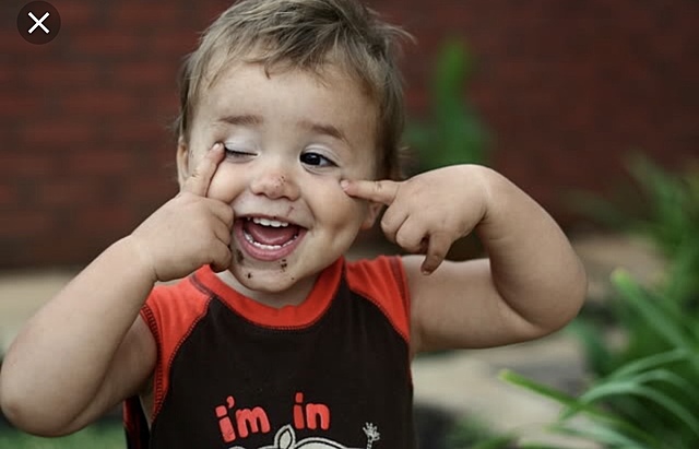 The Toddler: 1 year to 3 years