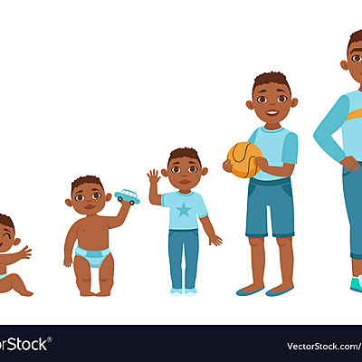 Timeline: Stages of Development