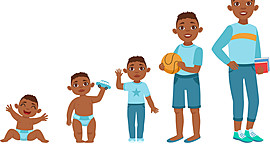 Timeline: Stages of Development