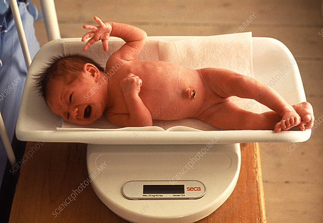 Physical Characterisitcs