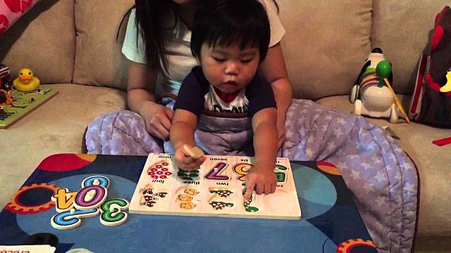 Intellectual Abilities