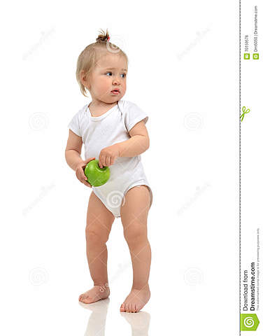 Physical Characteristics