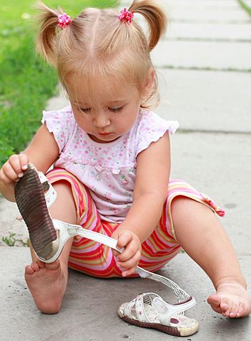 Intellectual Abilities