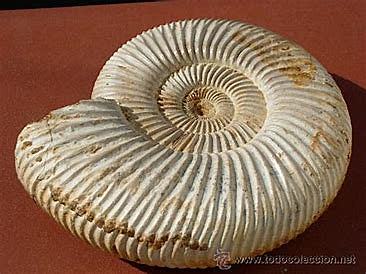 Cretaceous Late (100 millions years ago)