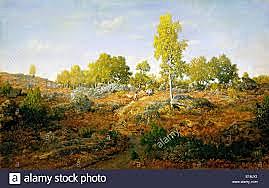 SENTIERO FRA LE ROCCE