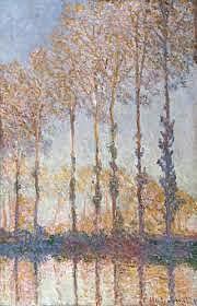 PIOPPI SULLA RIVA DEL FIUME