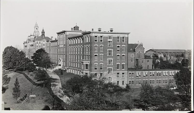 The New York Orphan Asylum