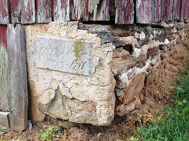 Eliza's Accomplishments