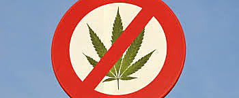 Organización de división de narcóticos