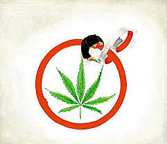 Se redactó el tratado llamado Convención de Ginebra para Limitar el Procesamiento y Regular la Distribución de Drogas Narcóticas