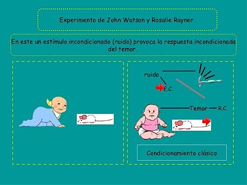 John Watson condicionamiento clásico  (1878, 1958).