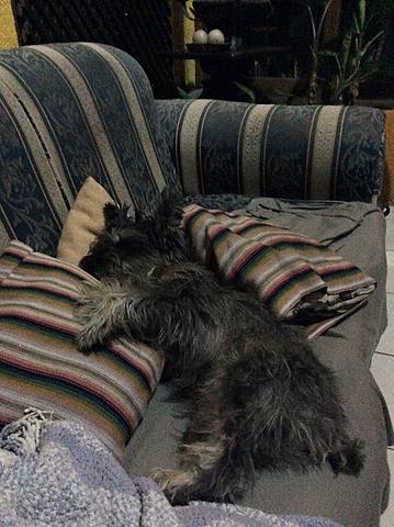 Llego un angelito a la casa!