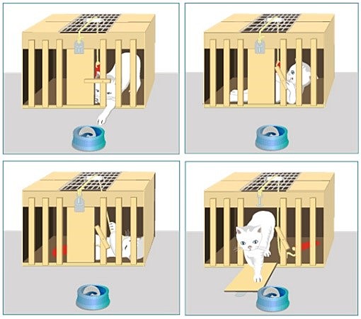 E. Thordike  conexionismo (1874 , 1949)