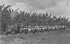 Masacre de las bananeras
