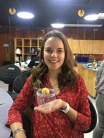 Siembra de semilla de aguacate