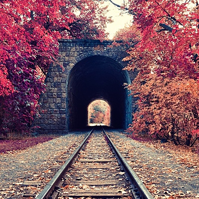 Timeline: The biography of Donald Trump