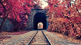 Timeline: The biography of Donald Trump