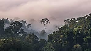 all largely as a result of human actions.