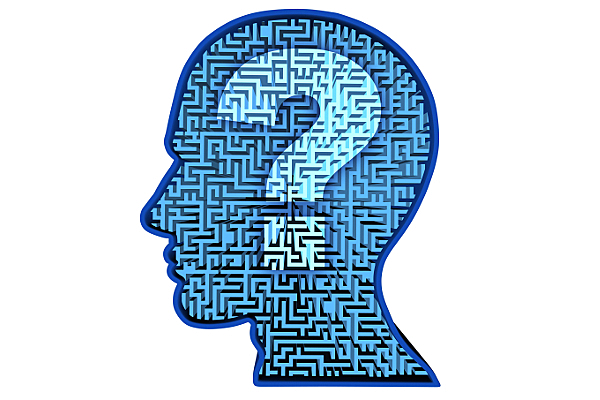 Research Question and Thesis