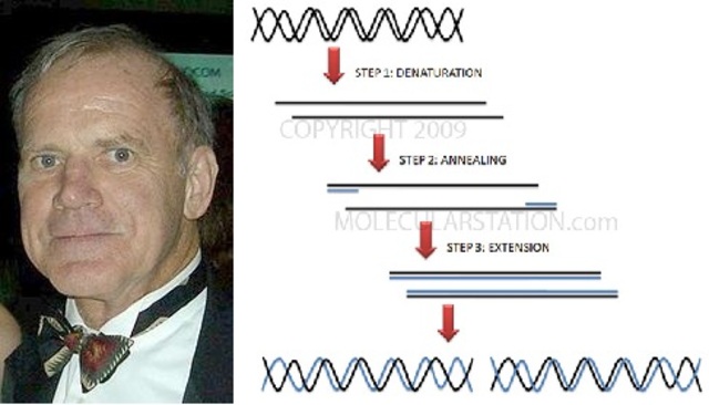 Kary Mullis's Developement