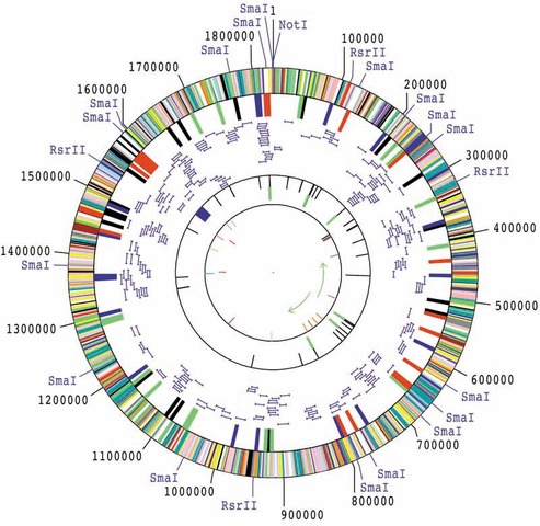 Haemophilus Influenzae is Sequenced