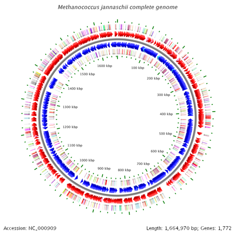 Extremophile Genome Sequence