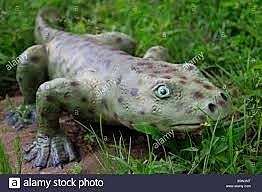 Plantas con semilla y paso de animales de la vida acuática a la vida terrestre.
