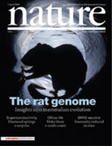 Rat Genome Sequence