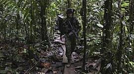 Timeline: cronologia de los procesos de paz