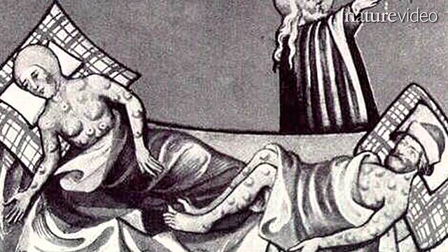 Black Death Hits Europe