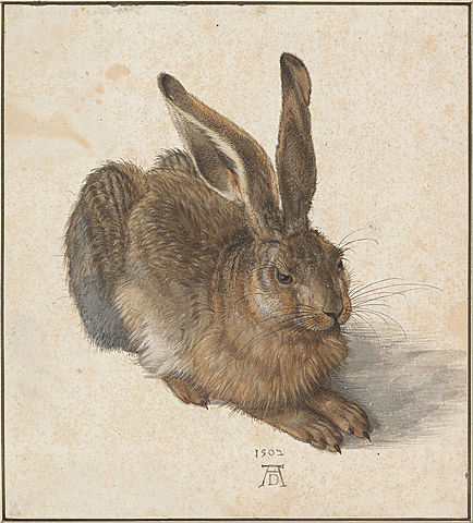 Creation of Young Hare