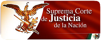 La Suprema Corte de Justicia de la Nación reconoce el derecho de acceso a la información como una garantía individual