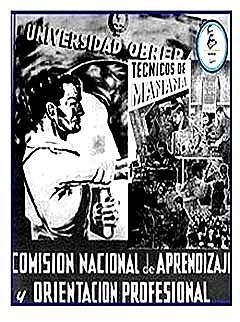 Se crea la Comisión Nacional de Aprendizaje y Orientación Profesional (CNAOP)