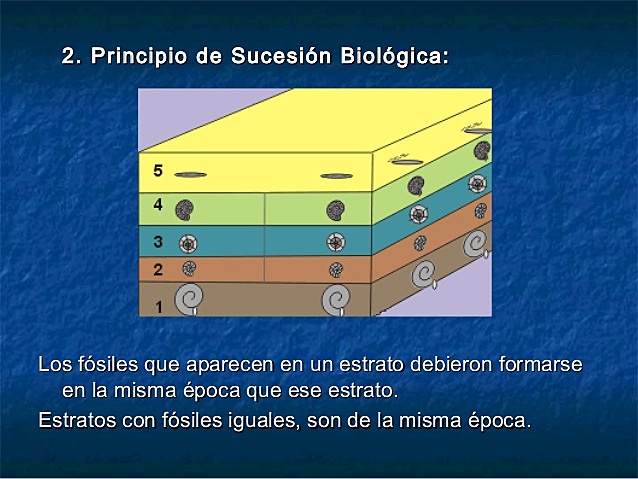 Principio de sucesión faunística.