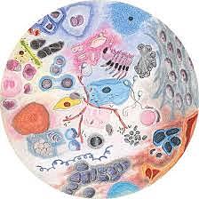 Manual de Psicopatologias