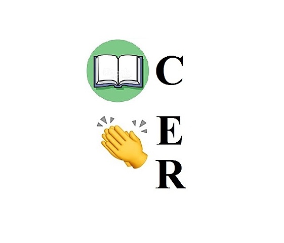 (C13) Concluiu o Curso de Formação de Oficiais (CFOE)