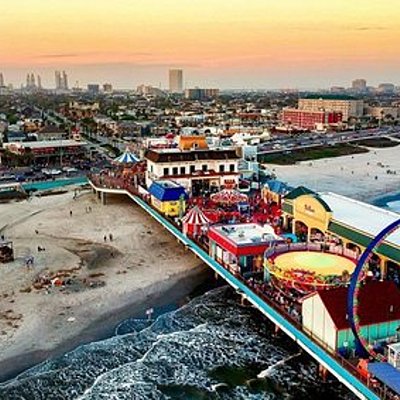 Timeline: Sofia Grasso