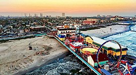 Timeline: Sofia Grasso