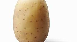 Timeline: Tate Burchfield: US History