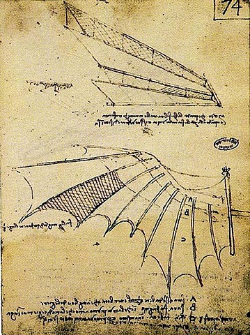 Trabaja en experimentos sobre el vuelo.
