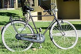 la bicicleta se popularisa