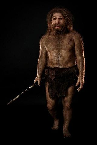 Homo neandertal
