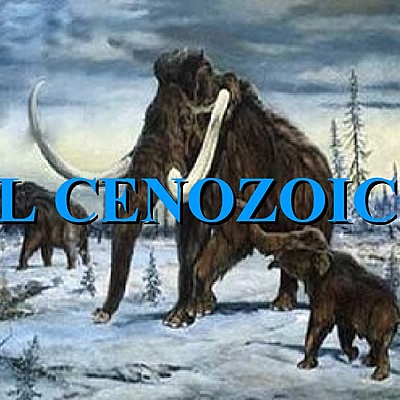 Timeline: cenozoico