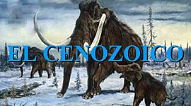Timeline: cenozoico