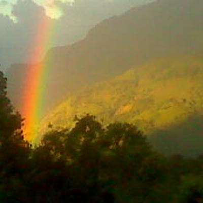 Timeline: linea de tiempo