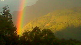 Timeline: linea de tiempo