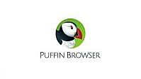 Puffin